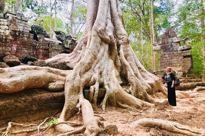 1-Day Angkor Wat Cycling Tour: Scenic Bike Adventure in Siem Reap - Ta Nei, a quiet forest temple