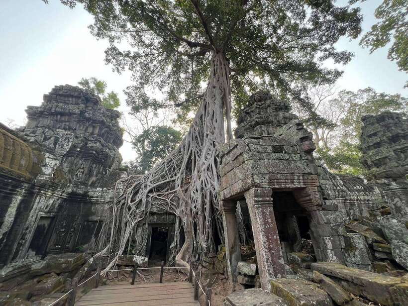 1-Day Angkor Wat Private Tour with Spanish Tour Guide. - What the $125 group price really covers