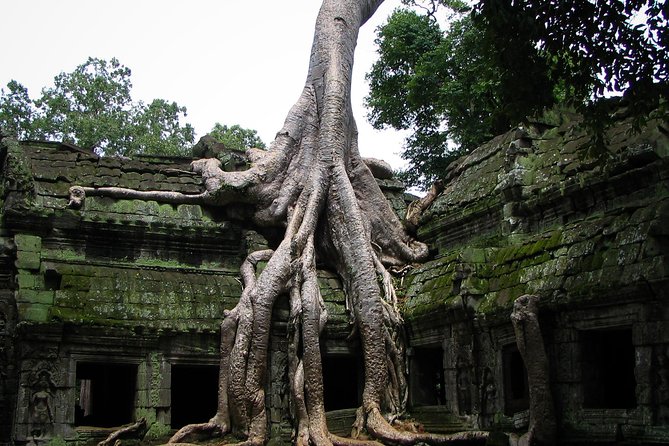 1-Day Angkor Wat Sunrise & All Interesting Temples Private Tour - A 4:45am start and the first Angkor Wat light