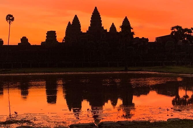 1 Day Angkor Wat with Sunrise Tour - Key points to know before you book