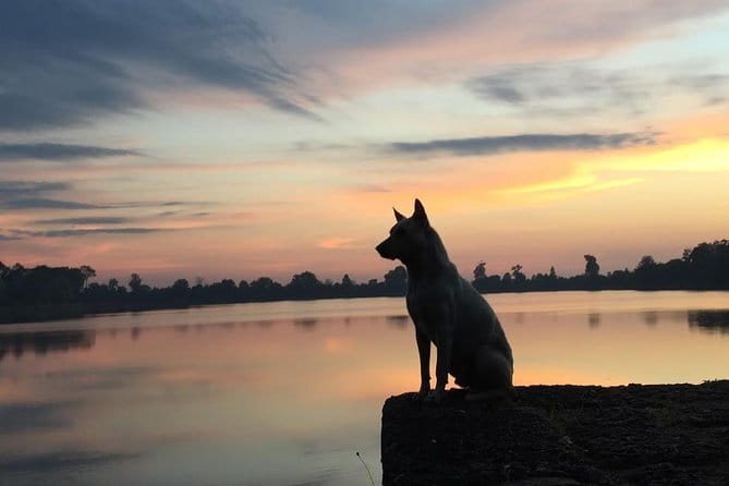 1 Day Angkor Wat with Sunrise Tour - Why the sunrise start is worth the early alarm