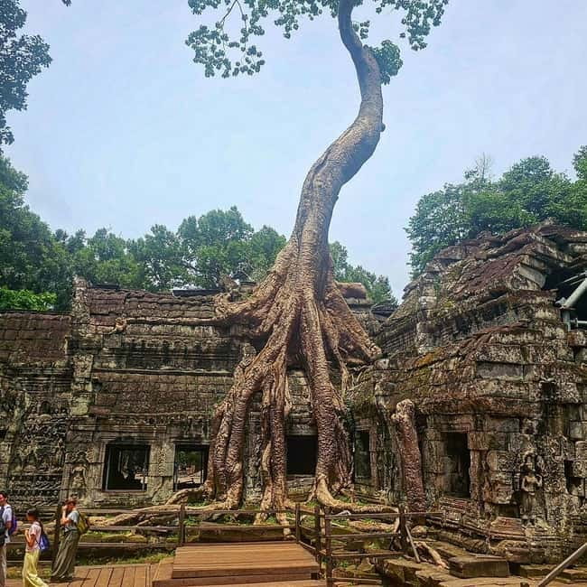 1-Day Trip to Angkor Wat with a Private or Shared Guide in Spanish - The five things to know before booking