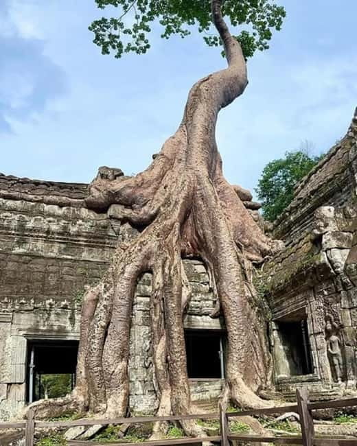 1-Day Trip to Angkor Wat with a Private or Shared Guide in Spanish - What the $40 price really covers