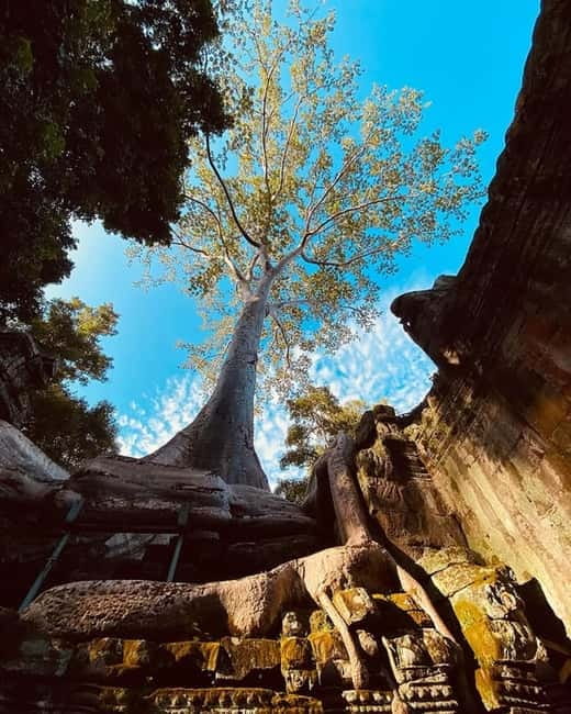 1-Day Trip to Angkor Wat with a Private or Shared Guide in Spanish - Angkor Thom through the Victory Gate