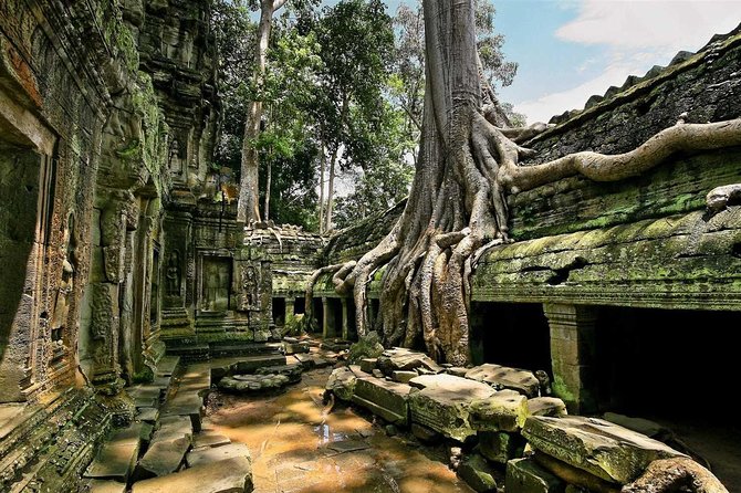1day private tour all main temple in Angkor,sunset at TonleSap floating village - Angkor Thom and the stone faces of Bayon