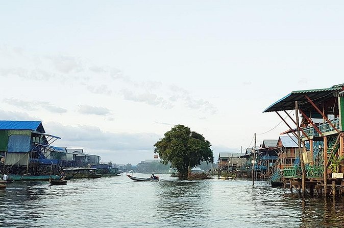 1day private tour all main temple in Angkor,sunset at TonleSap floating village - Ta Prohm, where trees take the stage
