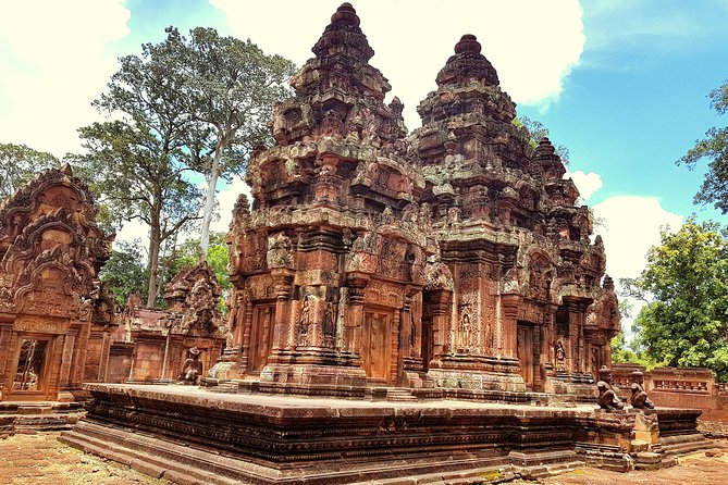 1day Private tour, Angkor sunrise,all main temples, Banteay srei - Ta Prohm and the power of the jungle