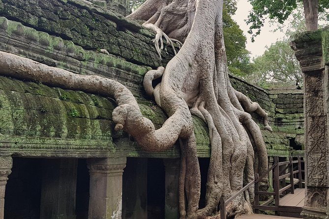 1day Private tour, Angkor sunrise,all main temples, Banteay srei - What private touring changes