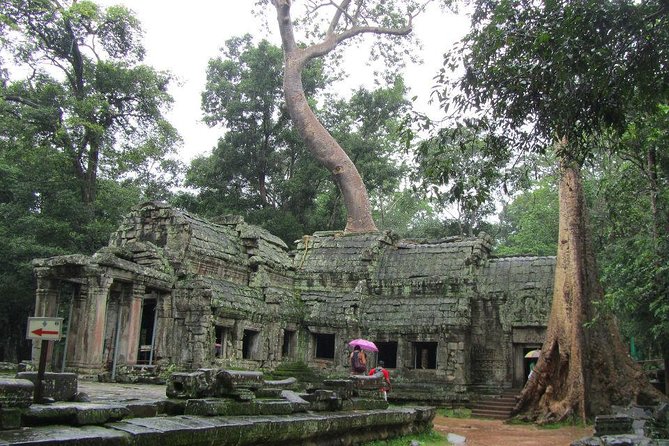 2-Day 'Angkor & Village' Tour - Ta Prohm and the royal terraces