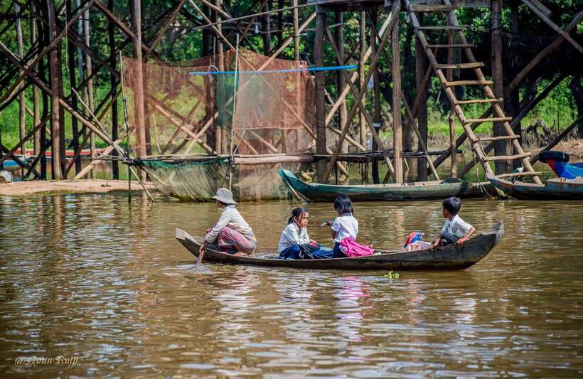 2-Day Angkor Wat, Banteay Srei & Floating Village K-Pluk - Ta Prohm and the appeal of ruins in the trees