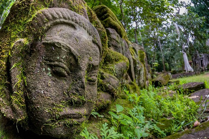 2-Day Angkor Wat with Temples On Small Circle & Kulen Waterfall - Ta Prohm and Ta Nei on the small circuit