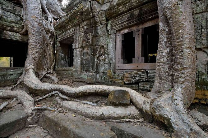 2-Day Phnom Penh to Siem Reap and Angkor Wat Temples - Ta Prohm, where the jungle takes over