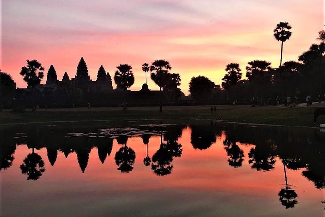 2 Days Exclusive Temple Highlights with Sunset and Sunrise Tour - Ta Prohm and Ta Nei: two different kinds of ruins