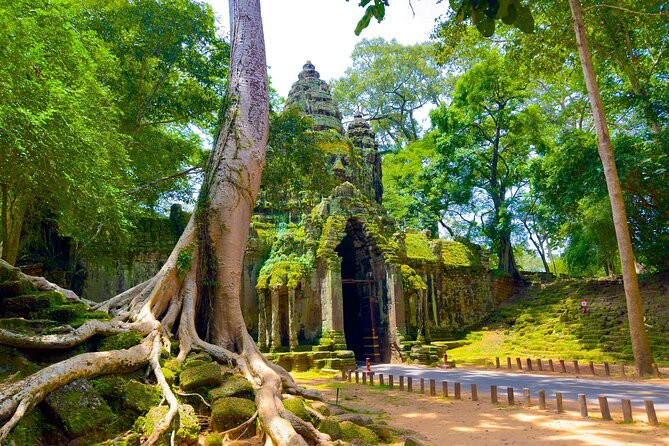 2 Days Exclusive Temple Highlights with Sunset and Sunrise Tour - Price, temple pass, meals, and value