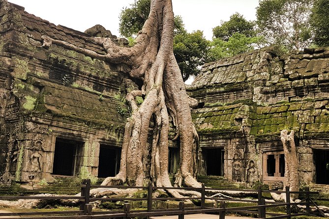 2-Days Private Tour in Angkor Sunrise, Banteay Srei and Beng Mealea Temple - Beng Mealea, Cambodia’s rough-edged ruin