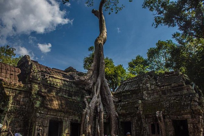 2 Days Siem Reap Angkor Wat Tour-Small Group - Ta Prohm and Banteay Kdei