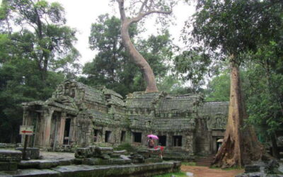 3-Day Angkor, Kompong Phluk & Roluos Temples Tour