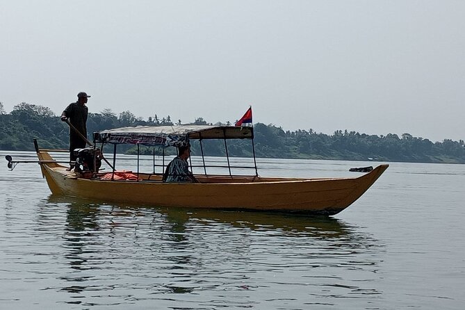 4 hours taking tuk tuk to see Mekong dolphins and countryside - Should you book the dolphin and countryside tour?
