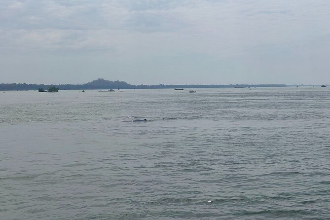 4 hours taking tuk tuk to see Mekong dolphins and countryside - The tuk-tuk ride through Kratie and its outskirts