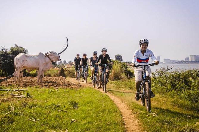 5-Hour Biking Tour in Mekong Island - How Much Value Do You Get for $49?