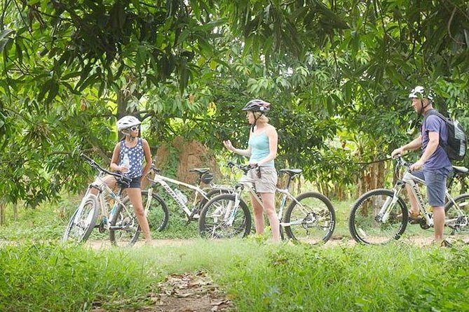5-Hour Biking Tour in Mekong Island - Ferry Crossing: The Ride Begins on the River