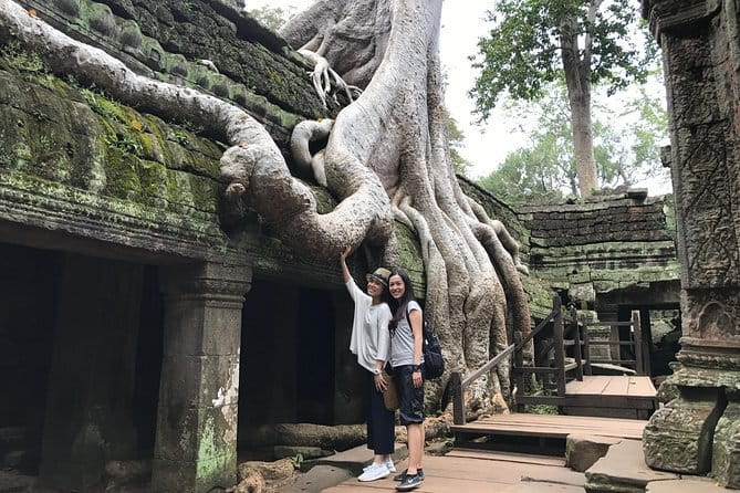 A Day Angkor Park Tours - Private English Speaking Tour Guide - Ta Prohm: jungle roots and a different mood