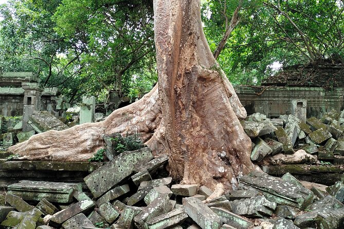 A Day Angkor Wat Sunrise Tour, Ta Prohm & Hidden Gems Beng Mealea - What the private format gives you