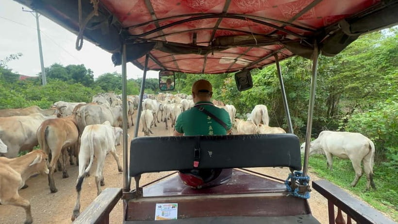 A day tour through Battambang/Local area and landmarks - A 1 p.m. start around Battambang town