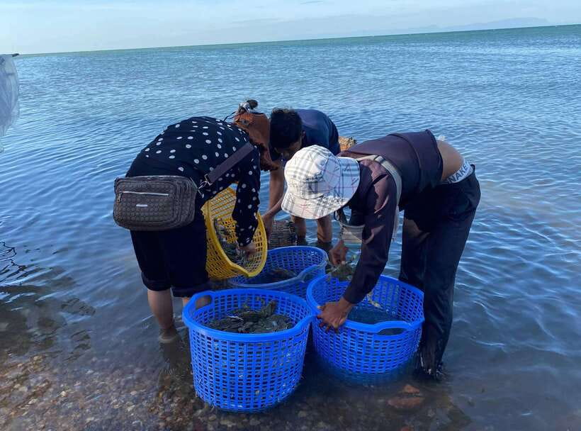 A Day Trip to Kep Beach and Kampot from Phnom Penh - Key points at a glance