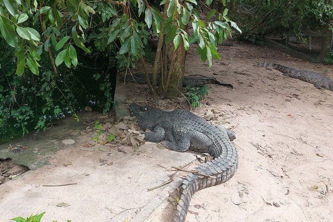 A Day Trip To Phnom Chisor - Tonle Batti From Phnom Penh - A Village Stop Near Phnom Chisor