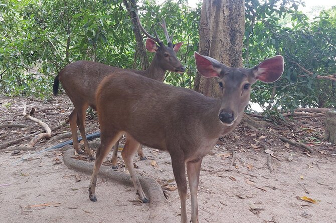 A Day Trip To Phnom Chisor - Tonle Batti From Phnom Penh - One Hour South to Tonle Bati