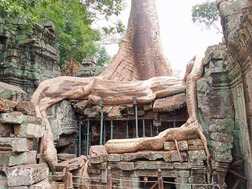 A Small Sharing Tour to Angkor Temples - What the guide adds to the experience
