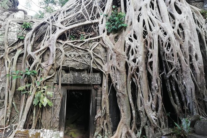 Afternoon Angkor Wat Private Tour with Sunset - Bayon’s stone faces and Angkor Thom’s royal scale