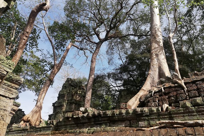 Afternoon Angkor Wat Private Tour with Sunset - The private car and guide make the schedule easier