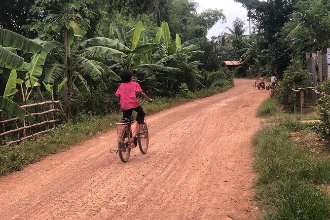 Afternoon tour by tuk tuk to bamboo train,bat cave,killing cave,countryside. - What the $15 price really covers