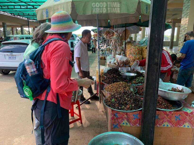 An Unforgettable Road Trip from Phnom Penh to Siem Reap - The car, the driver, and the comfort level