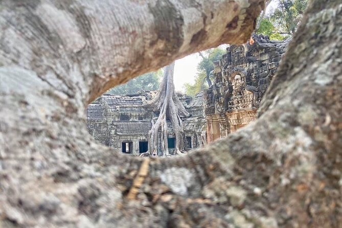 Angkor Cab: Siem Reap 3 day private tour: 'off the beaten track' - Day two: Angkor Wat at sunrise, Angkor Thom, and Ta Prohm