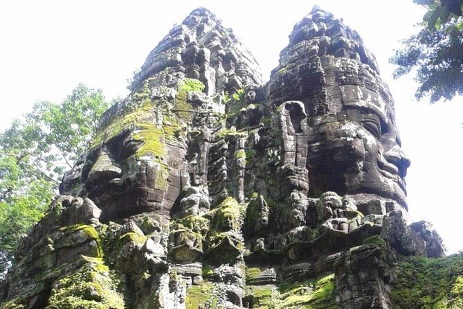 Angkor Full Day Tour All The Main Temples - Ta Prohm and the jungle-covered ruins