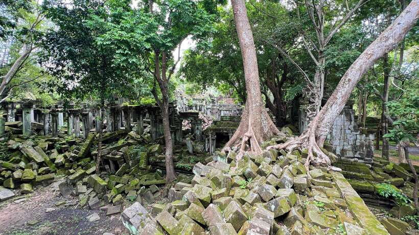 Angkor full day tour (Full intense day to discover the most) - Ta Prohm, the Tomb Raider Temple