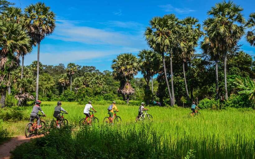 Angkor Jungle Biking Adventure Private Cycling Tour - Angkor Thom and Bayon’s stone faces