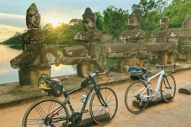 Angkor Sunrise Bike Tour with Breakfast & Lunch - Ta Prohm and the famous tree-covered ruins