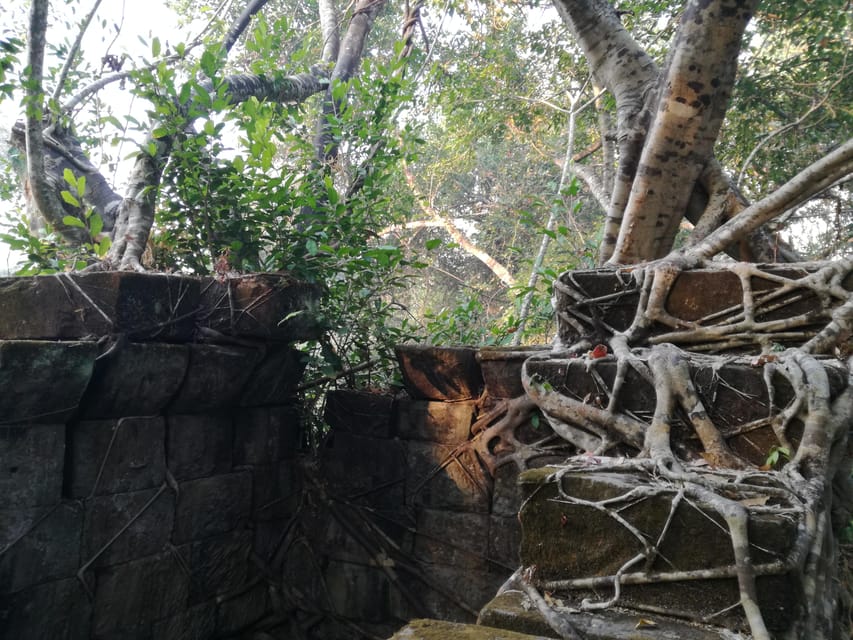 Angkor Temples Highlights Tour: 2 Days with Sunrise - Ta Keo adds a different kind of drama