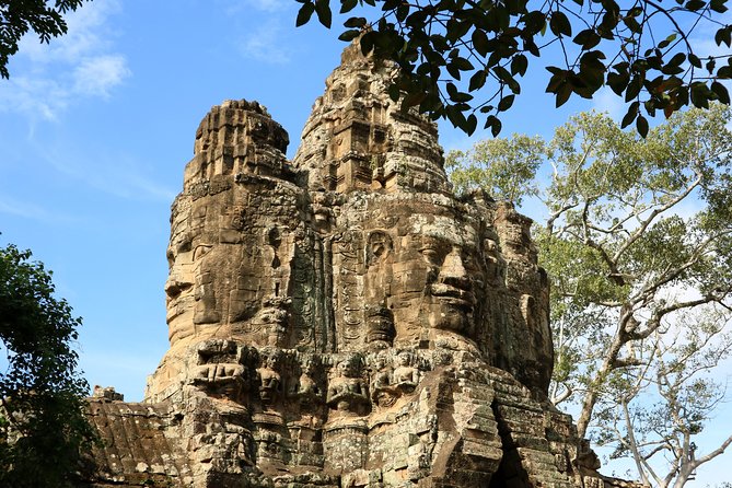 Angkor Temples Private Full-Day Tour from Siem Reap (Free Child) - Ta Prohm, where trees take over the ruins