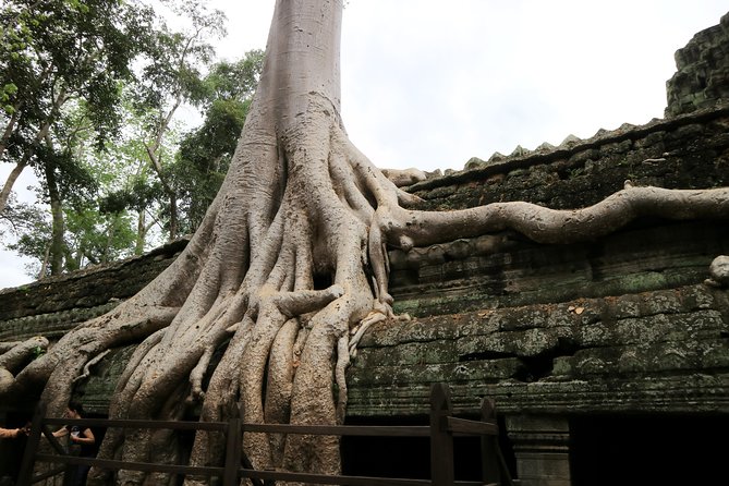 Angkor Temples Private Full-Day Tour from Siem Reap (Free Child) - Lunch and the practical value of a private car