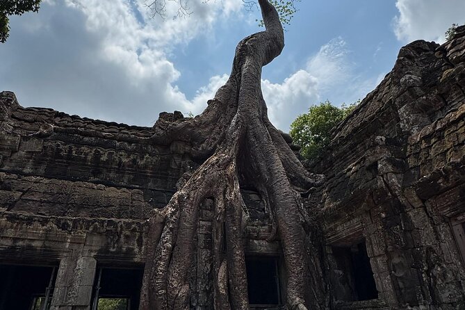 Angkor Wat 1-Day Exploration by Remok or Tuk Tuk - Water, coconuts, snacks, and cold towels