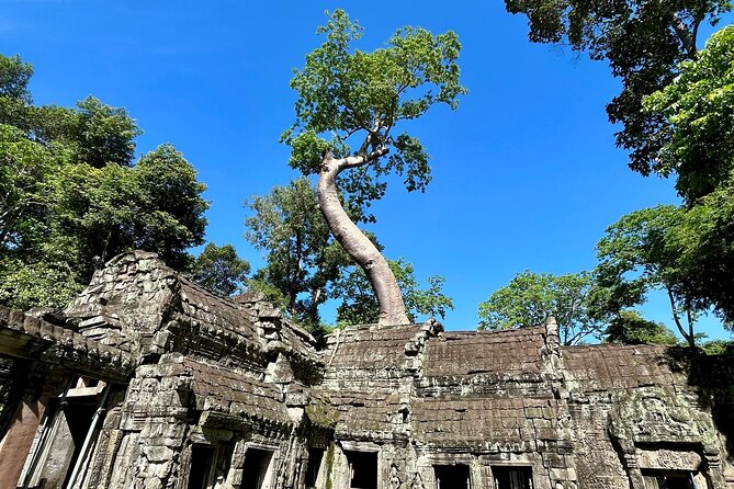 Angkor Wat 1-Day Tour by Private Car or Minivan - A guide who can adjust the day