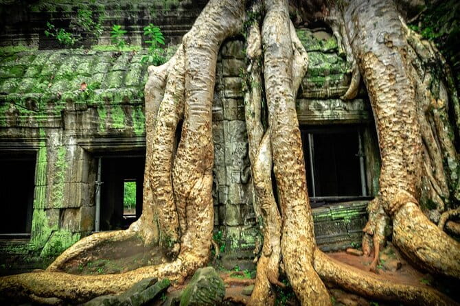 Angkor Wat 2 Days and a Half Temples & Tonle Sap-Small Group Tour - Day two: Sunrise at Angkor Wat and the great faces of Bayon