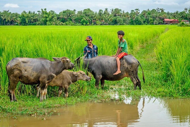 Angkor Wat -2Days Tour Package in Siem Reap, Cambodia - Why the sunrise start matters at Angkor Wat