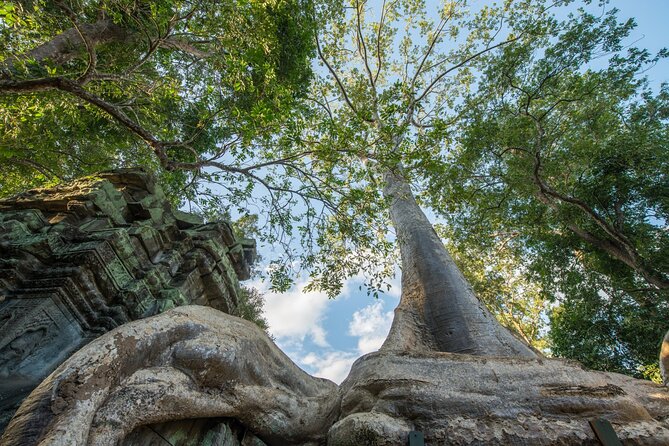 Angkor wat and Small group temples Full day tours - Angkor Wat, two hours with the park’s signature monument