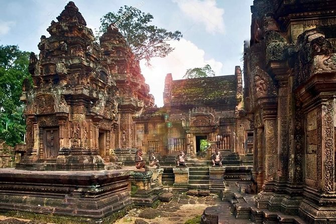 Angkor Wat, Banteay Srei, Ta Prohm & Angkor Thom - Lunch before Ta Prohm’s tree-covered ruins